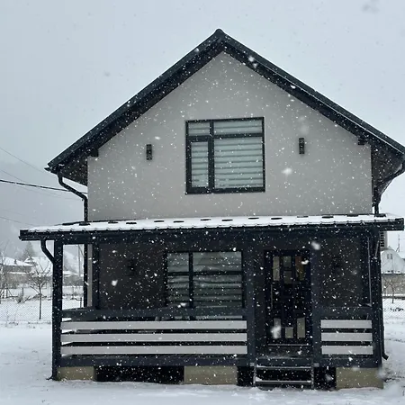 度假居 Gray House Kryvorivnya *