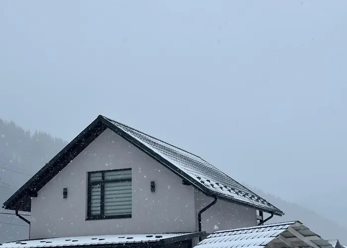Gray House Kryvorivnya Hébergement de vacances *
